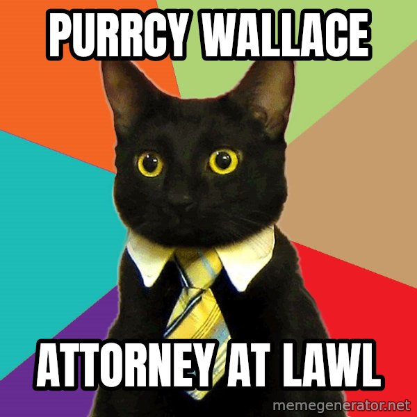Business Cat meme: PurrCy Wallace / Attorney at lawl