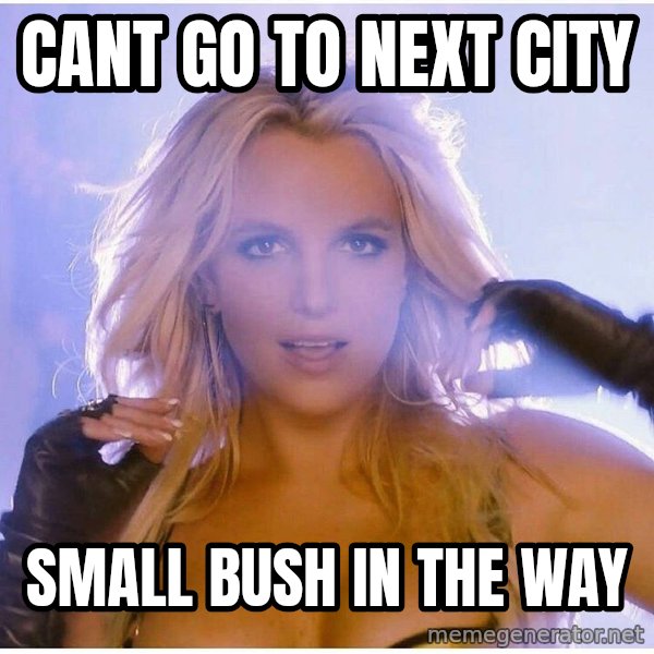 Professor Oak meme: cant go to next city / small bush in the way