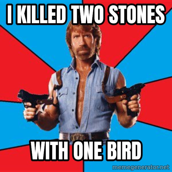 Chuck Norris  meme: i killed two stones / with one bird