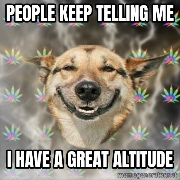Stoner Dog meme: PEOPLE KEEP TELLING ME / I HAVE A GREAT ALTITUDE