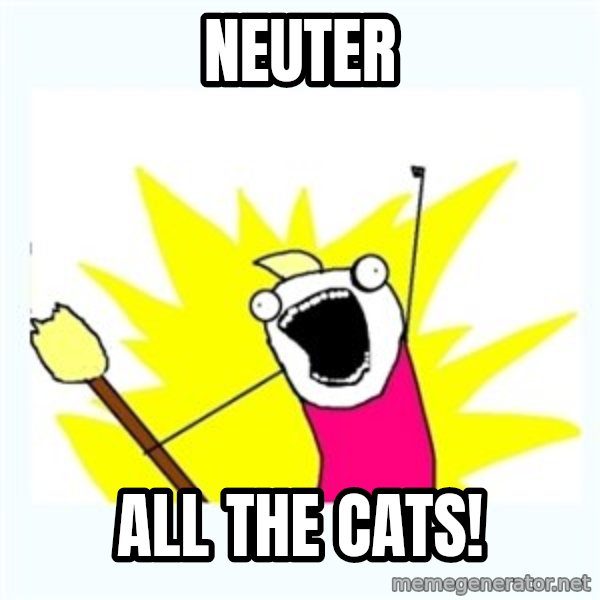All the things meme: neuter / all the cats!