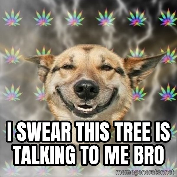 Stoner Dog meme: i swear this tree is talking to me bro