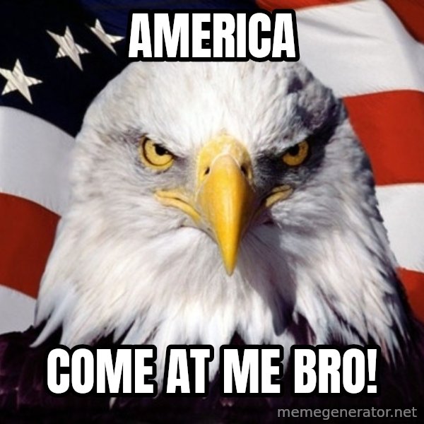 American Pride Eagle meme: America / Come at me bro!