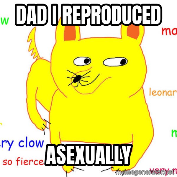 Forever Alone meme: Dad i reproduced / ASEXUALLY