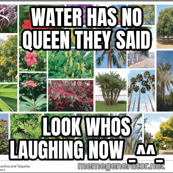 imageboard meme: water has no queen they said / look whos laughing now _^^_