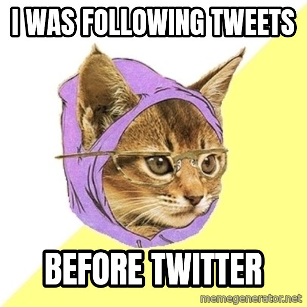 Hipster Kitty meme: I was following tweets / before twitter