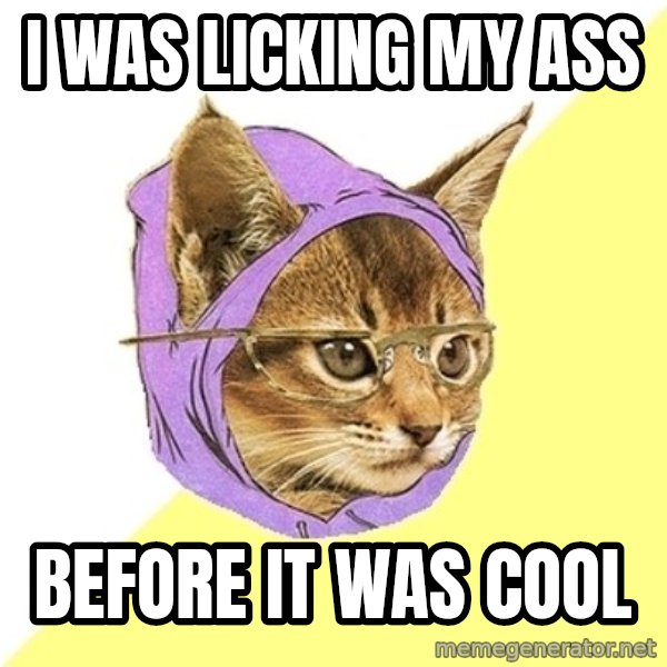 Hipster Kitty meme: i was licking my ass / before it was cool