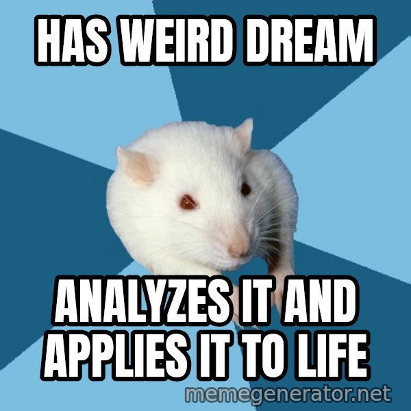 Psychology Major Rat meme: has weird dream / analyzes it and applies it to life