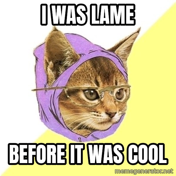 Hipster Kitty meme: i was lame / before it was cool