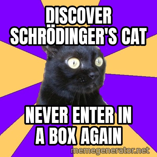 Anxiety Cat meme: discover Schrödinger's cat / never enter in a box again