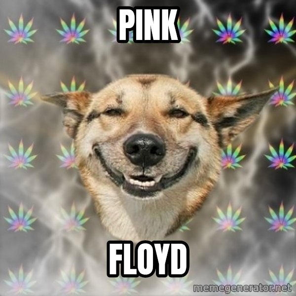 Stoner Dog meme: pink / floyd