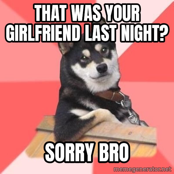 Cool Dog meme: that was your girlfriend last night? / sorry bro