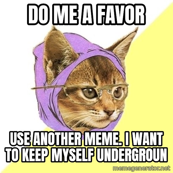 Hipster Kitty meme: do me a favor / use another meme. i want to keep myself undergroun