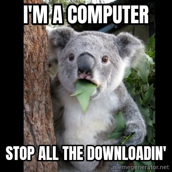 Koala can't believe it meme: I'm A computer / stop all the downloadin'