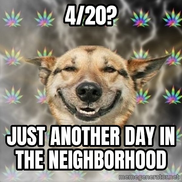 Stoner Dog meme: 4/20? / Just another day in the neighborhood