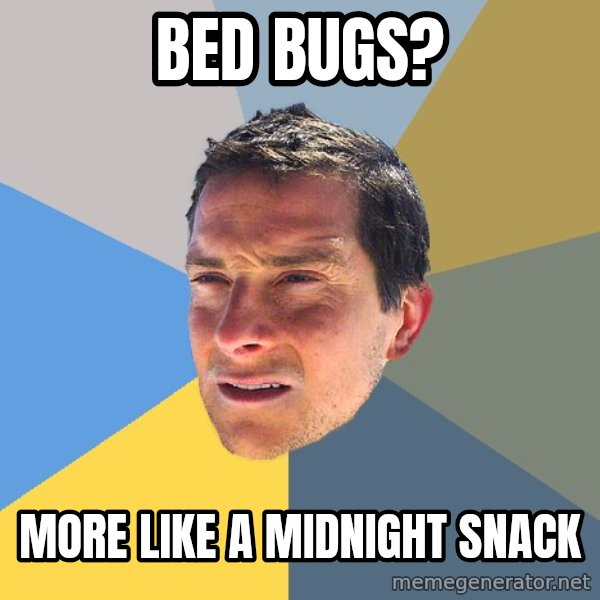 Bear Grylls meme: Bed BUGS? / More like a MIDNIGHT SNACK