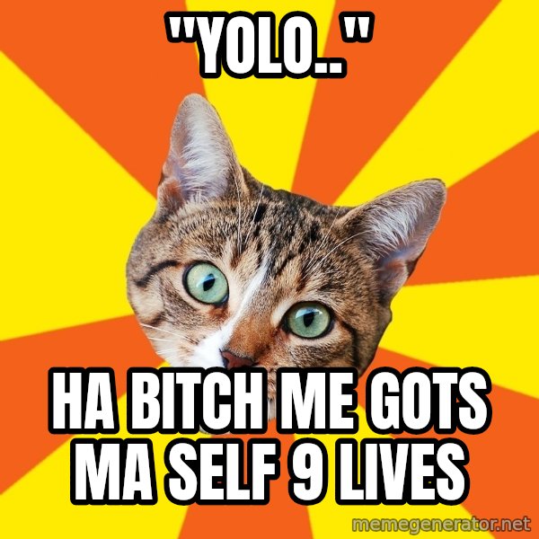 Bad Advice Cat meme: "YOLO.." / ha bitch me gots ma self 9 lives