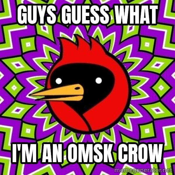 Omsk Crow meme: GUYS GUESS WHAT / I'M AN OMSK CROW