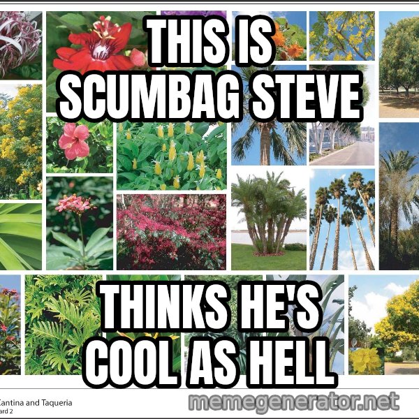 imageboard meme: This is Scumbag steve / Thinks he's Cool as hell
