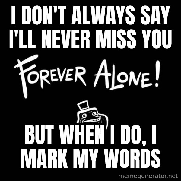 The Most Interesting Man In The World meme: I don't always say i'll never miss you / but when i do, i mark my words