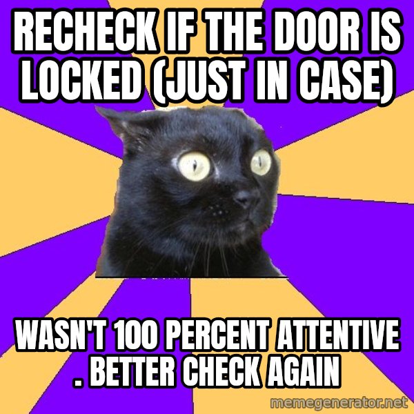 Anxiety Cat meme: recheck if the door is locked (just in case) / wasn't 100 percent attentive . better check again