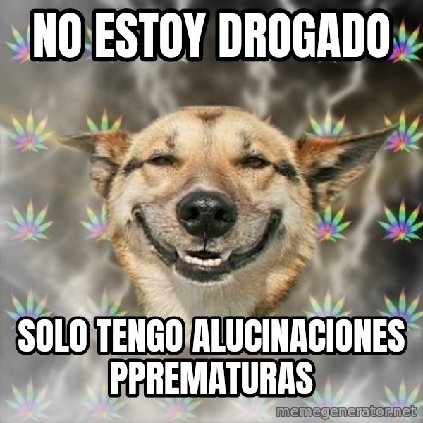 Stoner Dog meme: no estoy drogado / solo tengo alucinaciones pprematuras