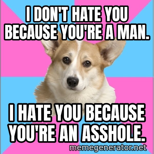 Critical Feminist Corgi meme: I don't hate you because you're a man. / i hate you because you're an asshole.