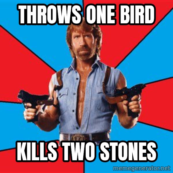 Chuck Norris  meme: throws one bird / kills two stones
