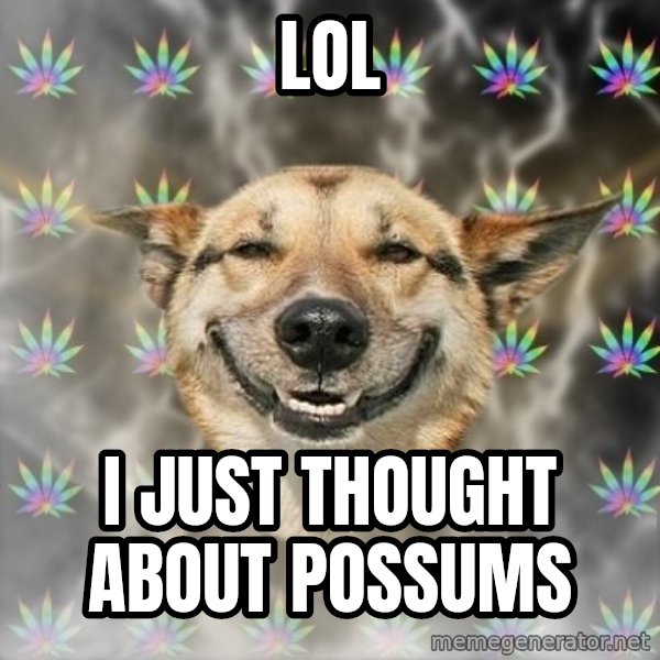 Stoner Dog meme: LOl / I JUST THOUGHT ABOUT POSSUMS