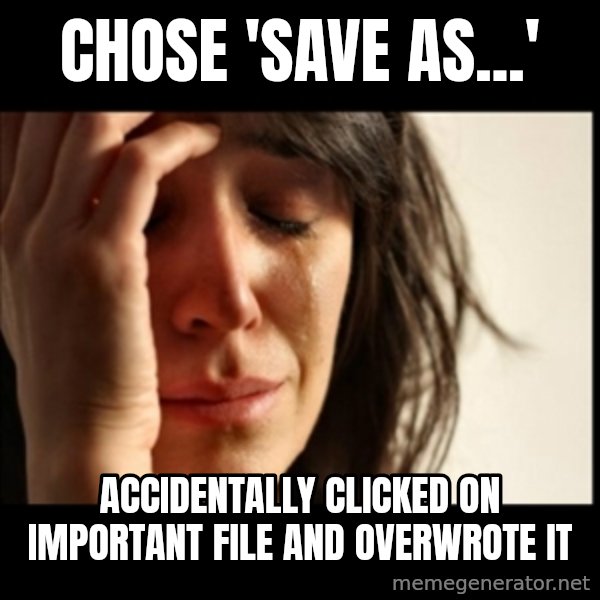 First World Problems meme: CHOSE 'SAVE AS...' / ACCIDENTALLY CLICKED ON IMPORTANT FILE AND OVERWROTE IT