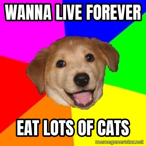 Advice Dog meme: wanna live forever / eat lots of cats