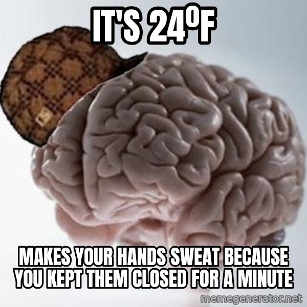 Scumbag Brain meme: IT'S 24ºF / MAKES YOUR HANDS SWEAT BECAUSE YOU KEPT THEM CLOSED FOR A MINUTE