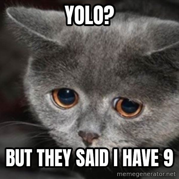 Sadcat meme: Yolo? / But they said I have 9