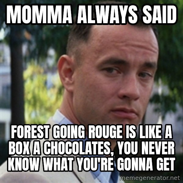 forrest gump meme: Momma always said / forest going rouge is like a box a chocolates, you never know what you're gonna get