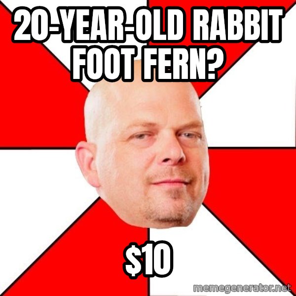 Pawn Stars meme: 20-YEAR-OLD RABBIT FOOT FERN? / $10