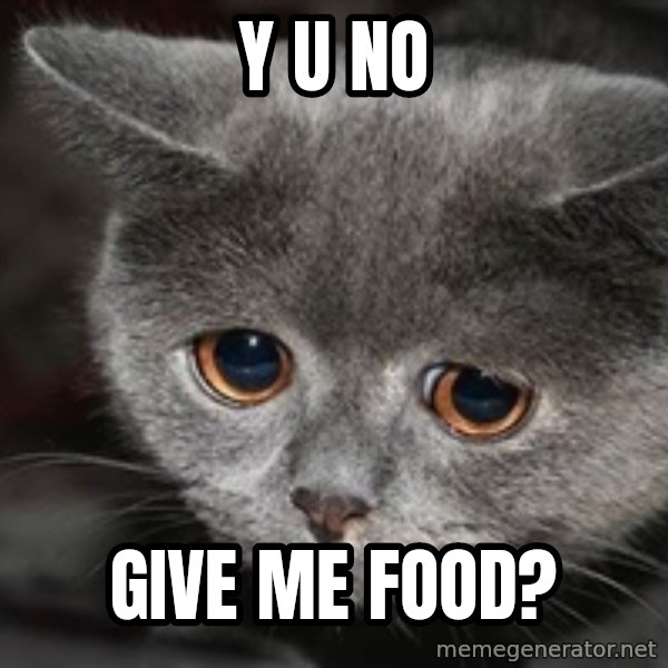 Sadcat meme: y u no / give me food?