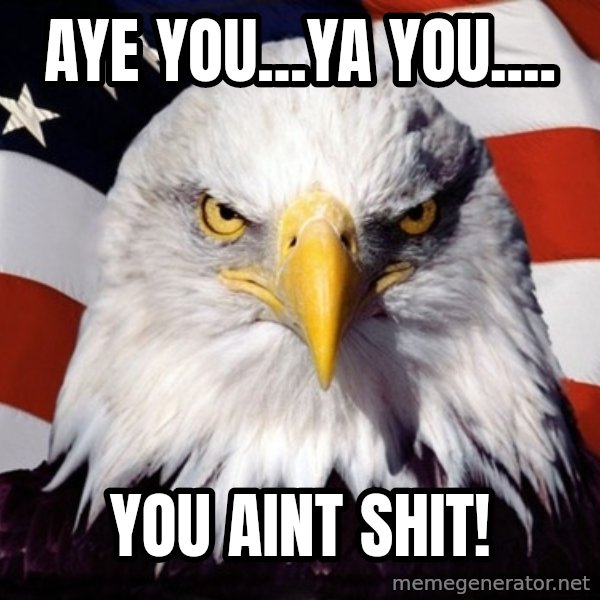American Pride Eagle meme: AYE YOU...YA YOU.... / YOU AINT SHIT!