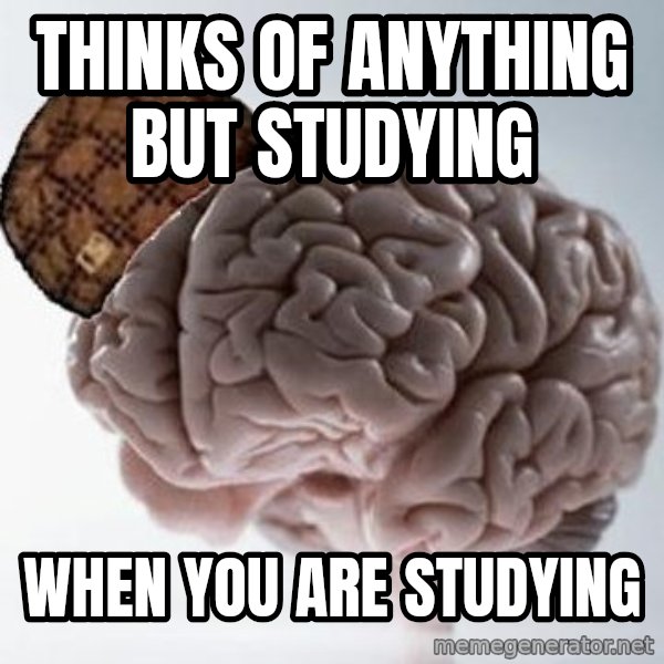 Scumbag Brain meme: Thinks of anything but studying / when you are studying