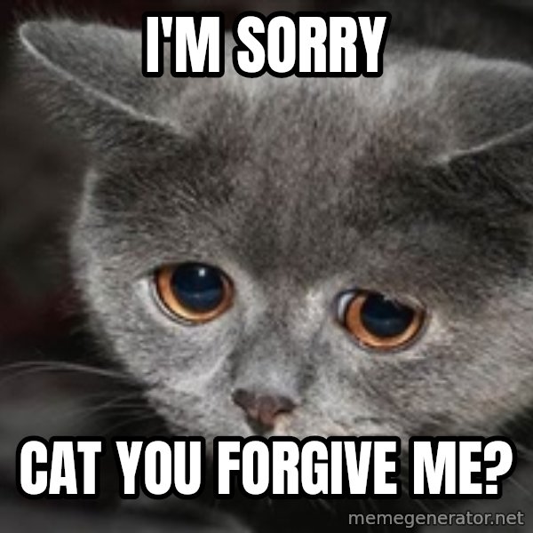 Sadcat meme: I'm sorry / Cat you forgive me?