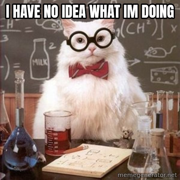 Chemistry Cat meme: I HAVE NO IDEA WHAT IM DOING