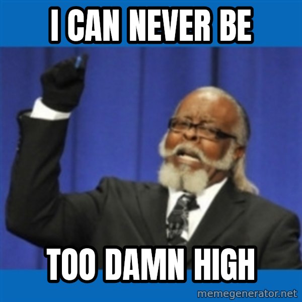 Rent Is Too Damn High meme: i can never be / too damn high