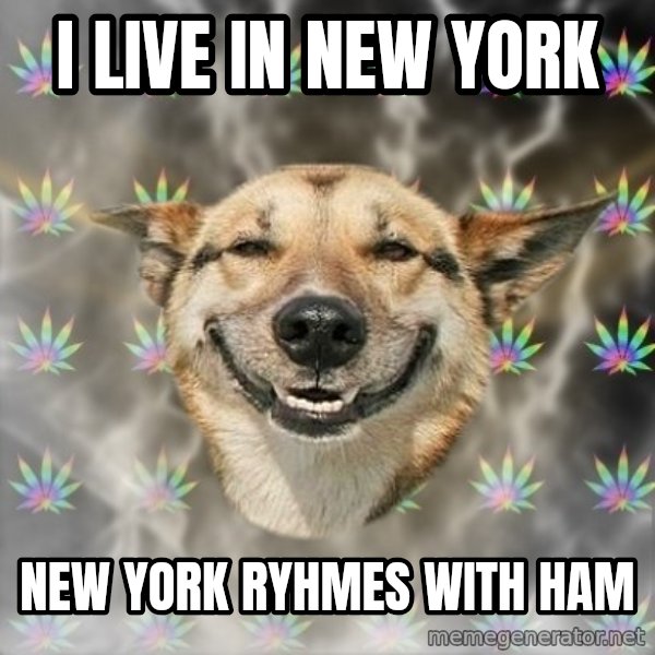 Stoner Dog meme: I LIVE IN NEW YORK / NEW YORK RYHMES WITH HAM