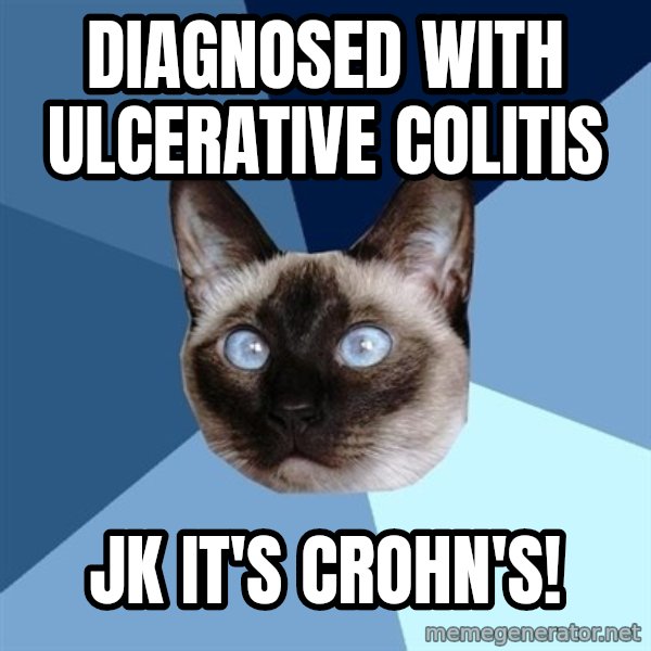 Chronic Illness Cat meme: DIAGNOSED WITH ULCERATIVE COLITIS / JK IT's CROHN'S!