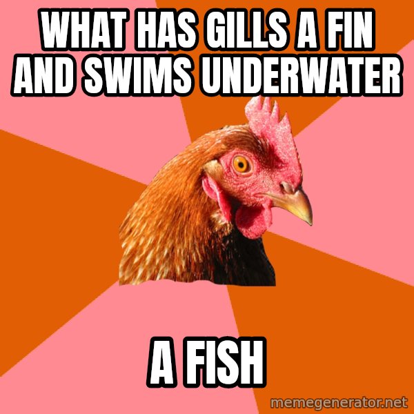 Anti Joke Chicken meme: what has gills a fin and swims underwater / a fish