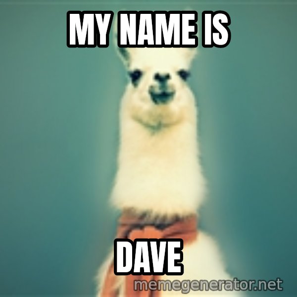Pancakes llama meme: MY name is / dave