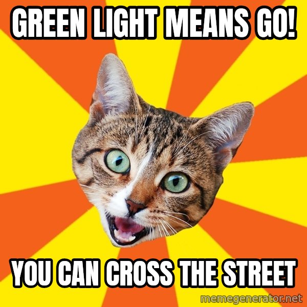 Bad Advice Cat meme: GREEN LIGHT MEANS GO! / YOU CAN CROSS THE STREET