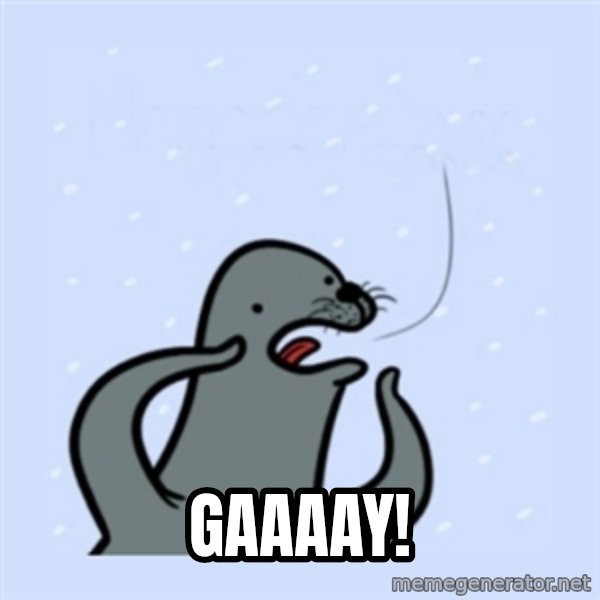 gay seal meme: Gaaaay!