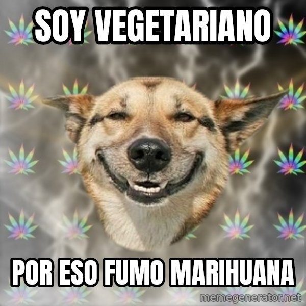 Stoner Dog meme: soy vegetariano / por eso fumo marihuana