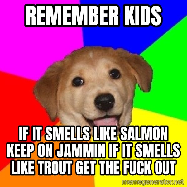 Advice Dog meme: REMEMBER kids / if it smells like salmon keep on jammin if it smells like trout get the fuck out