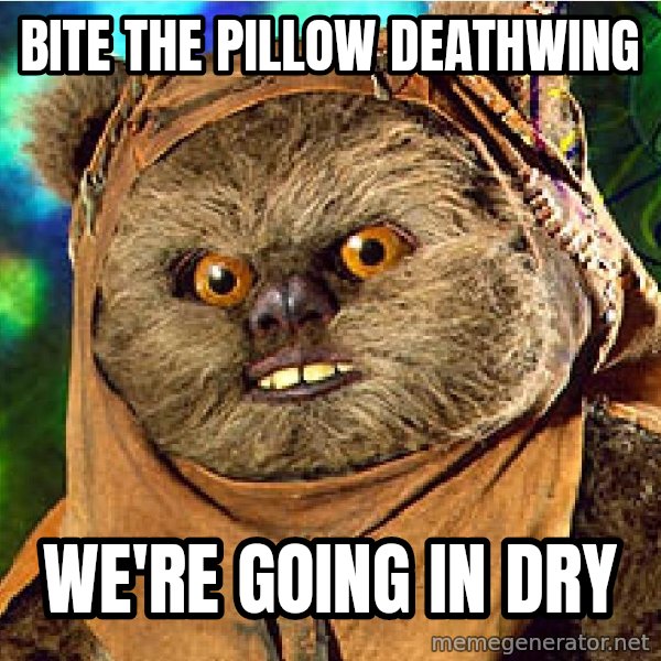 Rape Ewok meme: BITE THE PILLOW DEATHWING / wE'RE GOING IN DRY